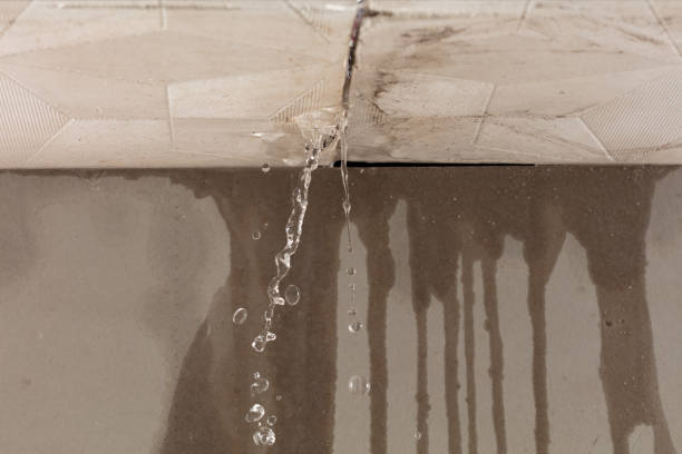 Professional Structural Drying technician working in Murchison, TX
